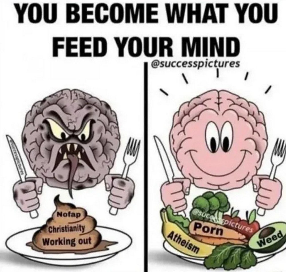 Мем You become what you feed your mind На меме You become what you feed your mind изображены два мозга, один злой и серый, другой розовый и счастливый. Злой мозг собирается есть кучу фекалий с надписями Nofap, Christianity, Working out. Счастливый мозг сидит перед тарелкой с фруктами и овощами, помеченными Porn, Atheism, Weed.