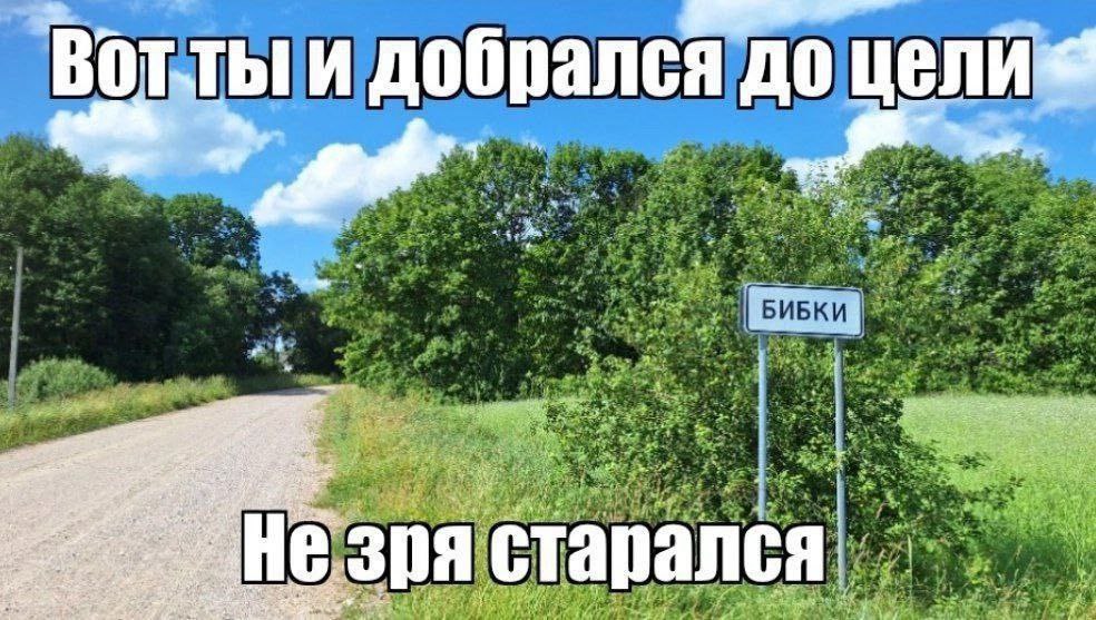 Вот ты и добрался до цели Бибки Мем про дорогу к цели и указатель «Бибки»