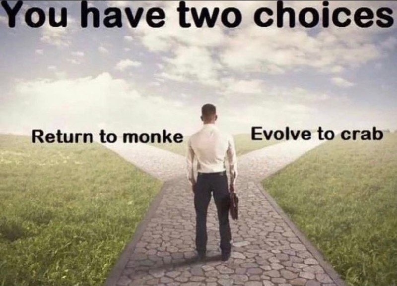 You have two choices Человек стоит на развилке двух дорог, с надписями "Return to monke" и "Evolve to crab"