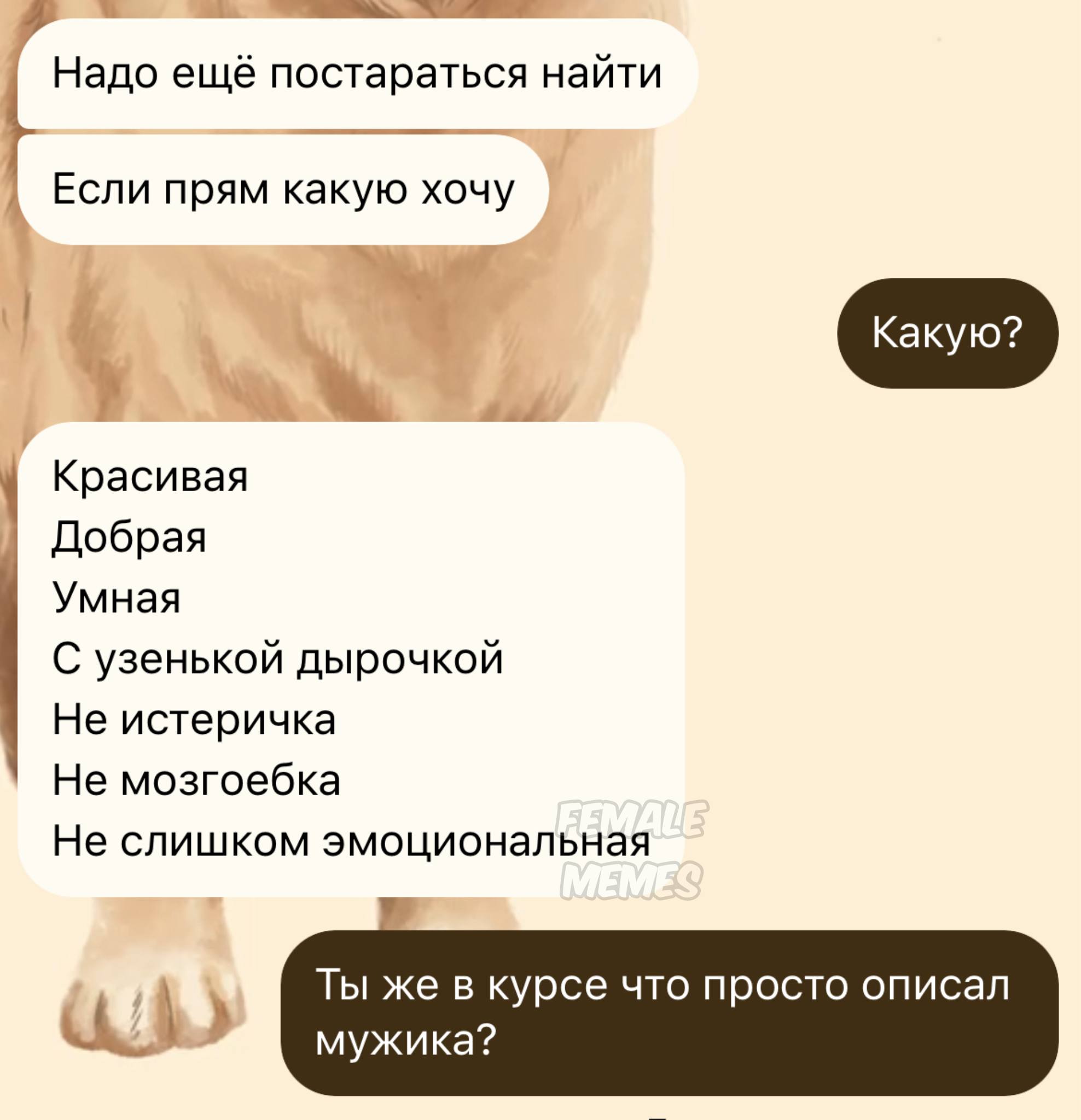 Ты же в курсе что просто описал мужика Переписка из мессенджера, где мужчина описывает качества идеальной девушки, а собеседник указывает, что он описал мужчину