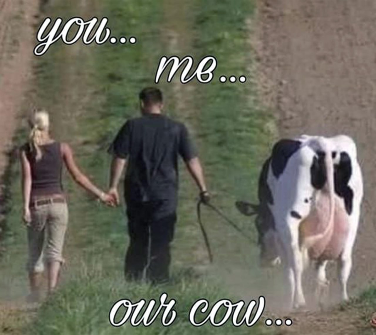You, me, our cow Мем с мужчиной, женщиной и коровой, которая принадлежит им обоим, а надписи на картинке говорят: «ты, я, наша корова»
