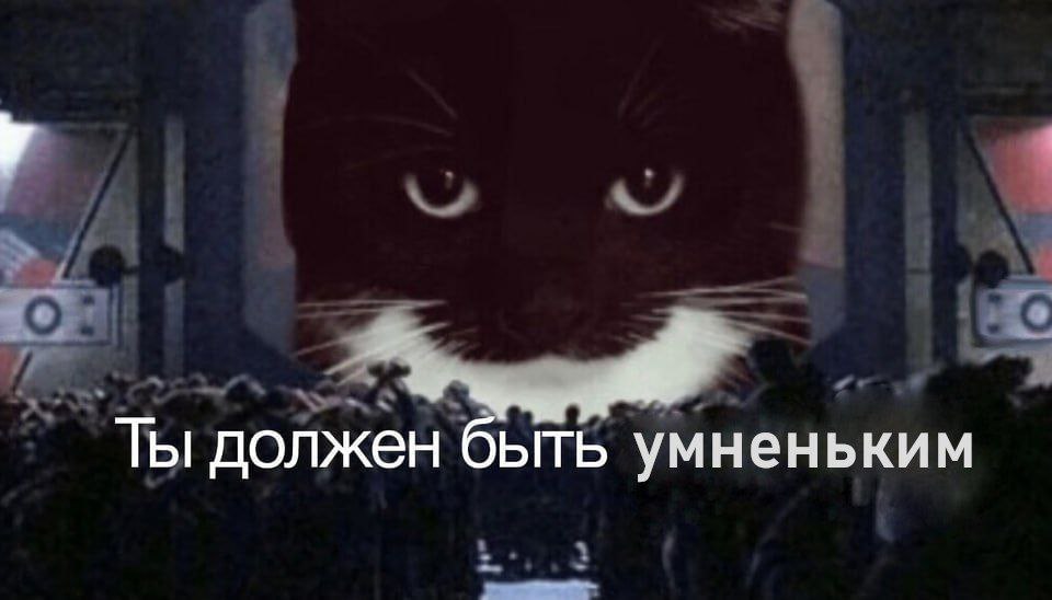 Ты должен быть умненьким Мем с котом, похожим на Феликса, и надписью "Ты должен быть умненьким"