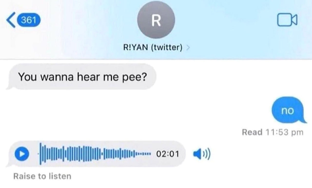 You wanna hear me pee? Переписка, где человек спрашивает: "Хочешь послушать, как я писаю?" и присылает длинное голосовое сообщение, а другой отвечает "нет".