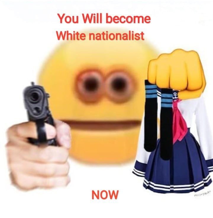 You Will become White nationalist Мем You Will become White nationalist с пистолетом и школьной формой