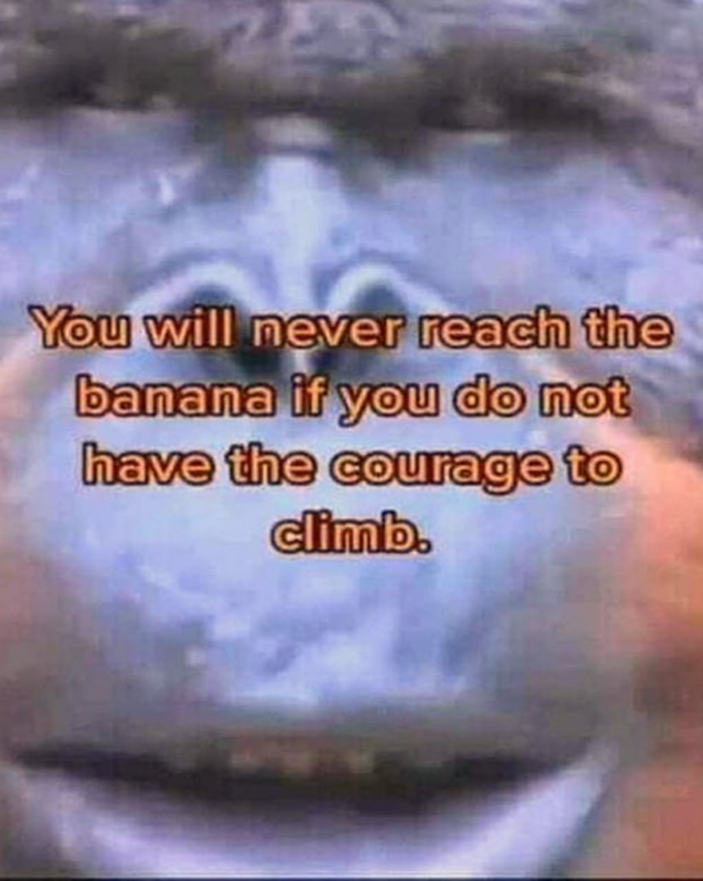 You will never reach the banana if you do not have the courage to climb Мем с фразой "You will never reach the banana if you do not have the courage to climb" на синем фоне