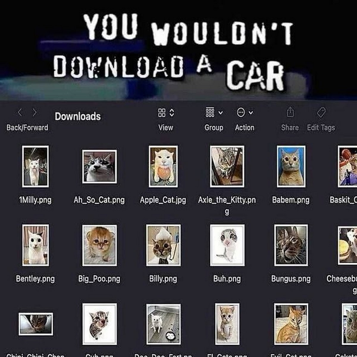 You wouldn't download a car кошки Мем с надписью «You wouldn't download a car» и папкой «Downloads», полной фотографий кошек.