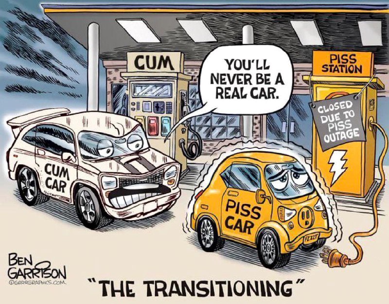 You'll never be a real car, The transitioning Мем "You'll never be a real car", на котором бензиновая машина высмеивает электрокар, стоящий у заправки "Piss station", закрытой из-за перебоев с мочой.