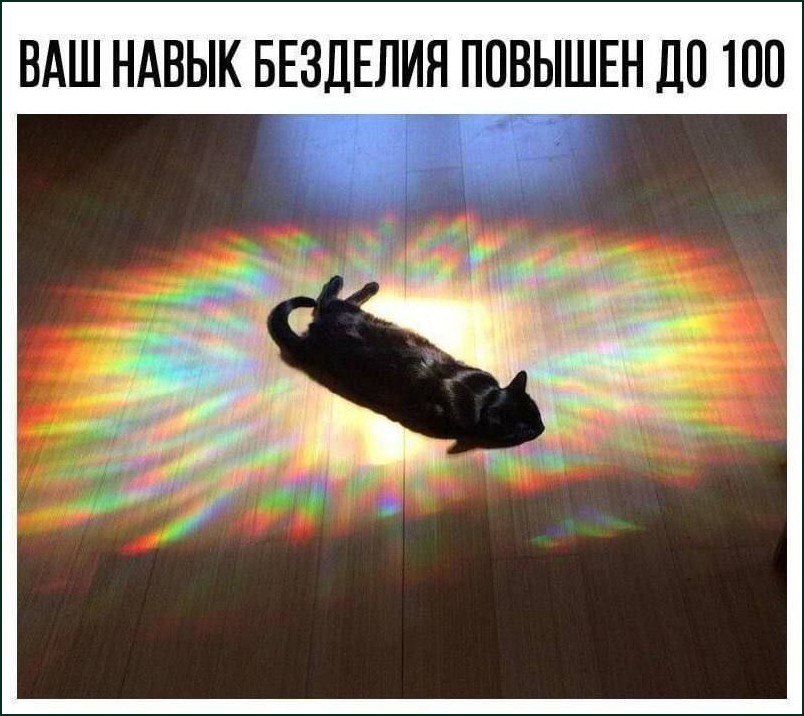 Лежащая на спине кошка с радужным сиянием вокруг и надписью «Ваш навык безделия повышен до 100».