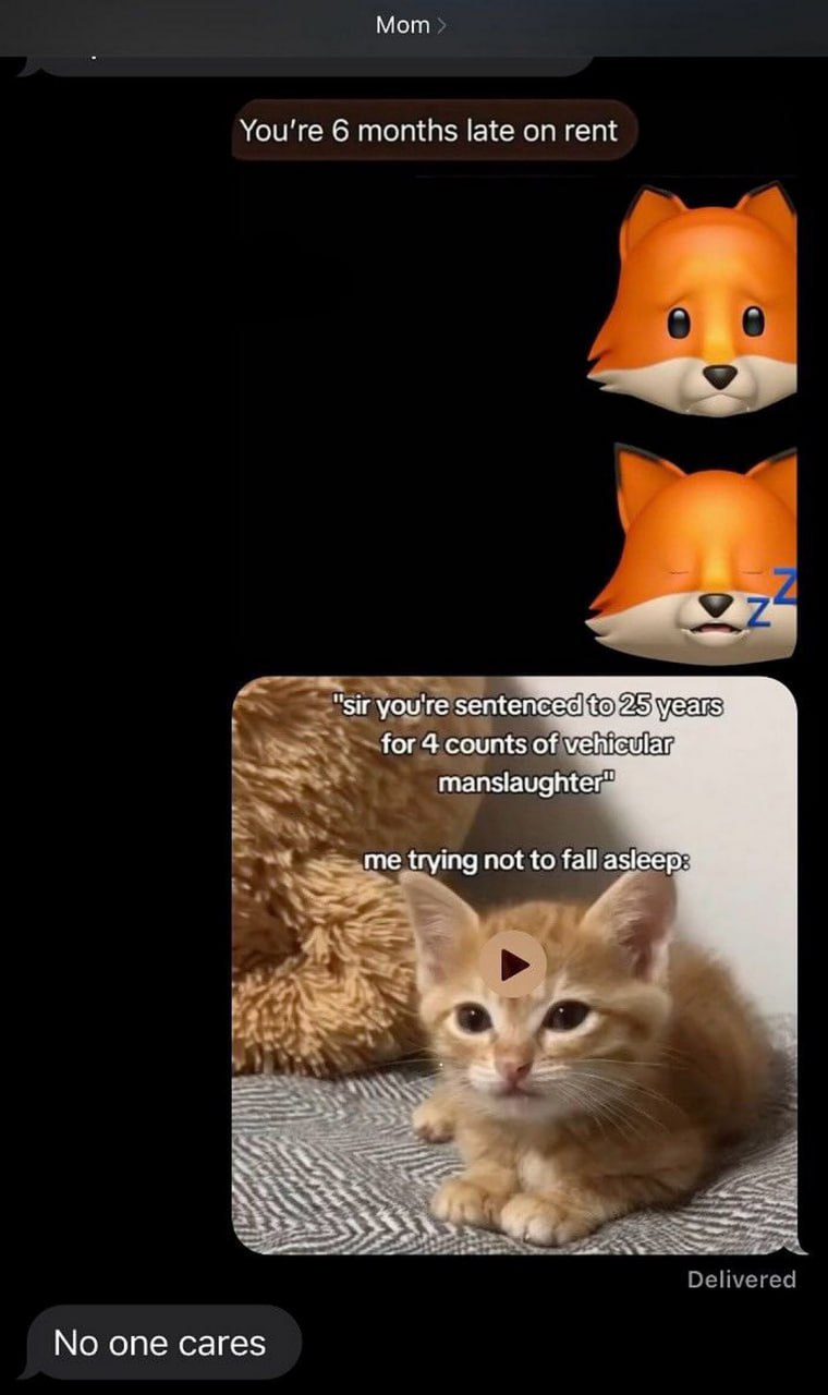 You're 6 months late on rent, котёнок пытается не заснуть Мама пишет "Вы опаздываете с арендной платой на 6 месяцев", а котенок борется со сном в суде.