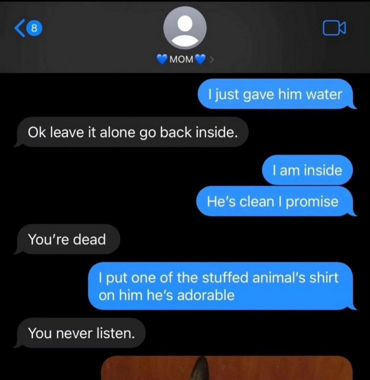 You're dead I just gave him water Переписка между мамой и сыном в iMessage, где сын пытается оправдаться за то, что дал воды животному и надел на него рубашку