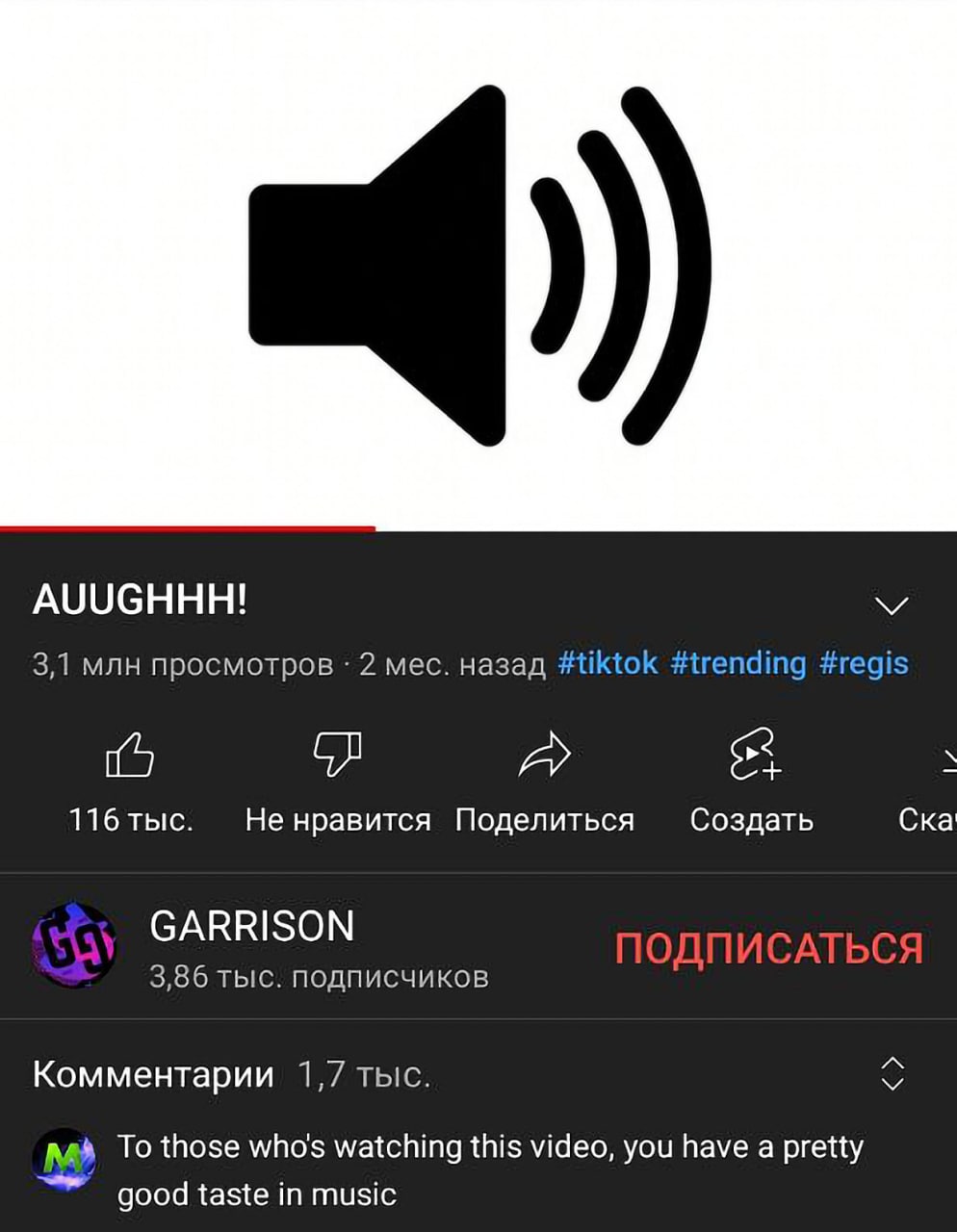 Значок громкости и хороший вкус в музыке Мем со скриншотом YouTube, на котором виден значок громкости и комментарий о хорошем вкусе в музыке
