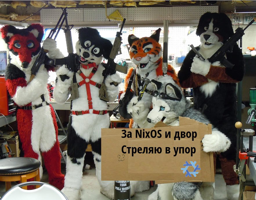 За NixOS и двор Фурри с оружием и плакатом «За NixOS и двор Стреляю в упор»
