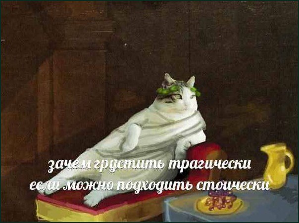 Зачем грустить трагически если можно подходить стоически Кот в древнеримской тоге и венке на голове, лежащий на кушетке с едой и напитком, философски смотрит вдаль с надписью «зачем грустить трагически если можно подходить стоически»
