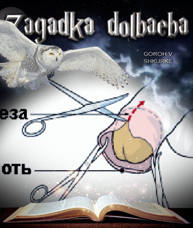 Загадка долбаеба Загадка долбаеба: сова, ножницы и книжка