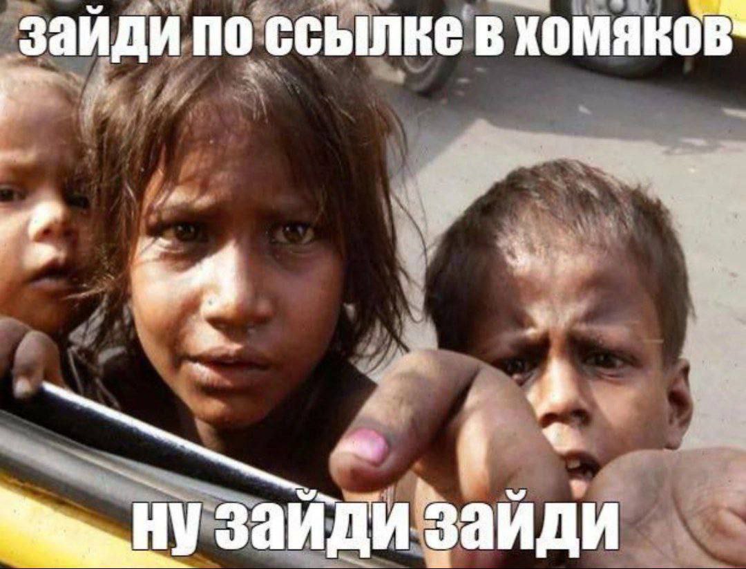 Зайди по ссылке в хомяков Зайди по ссылке в хомяков ну зайди зайди