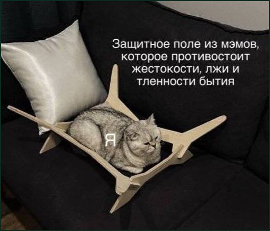 Кот лежит в деревянном каркасе на диване, рядом подпись: «Защитное поле из мемов, которое противостоит жестокости, лжи и тленности бытия», а на коте — «Я».