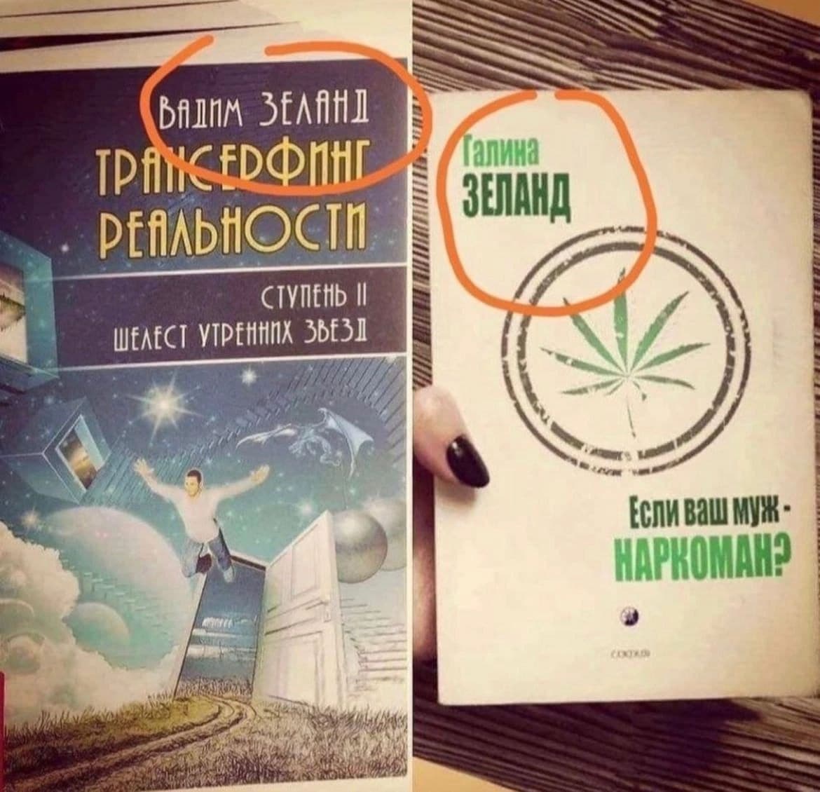 Зеланд и наркоман Мем, сравнивающий книги Вадима Зеланда «Трансерфинг реальности» и Галины Зеланд «Если ваш муж — наркоман?», чтобы подчеркнуть разницу между популярными авторами-однофамильцами.