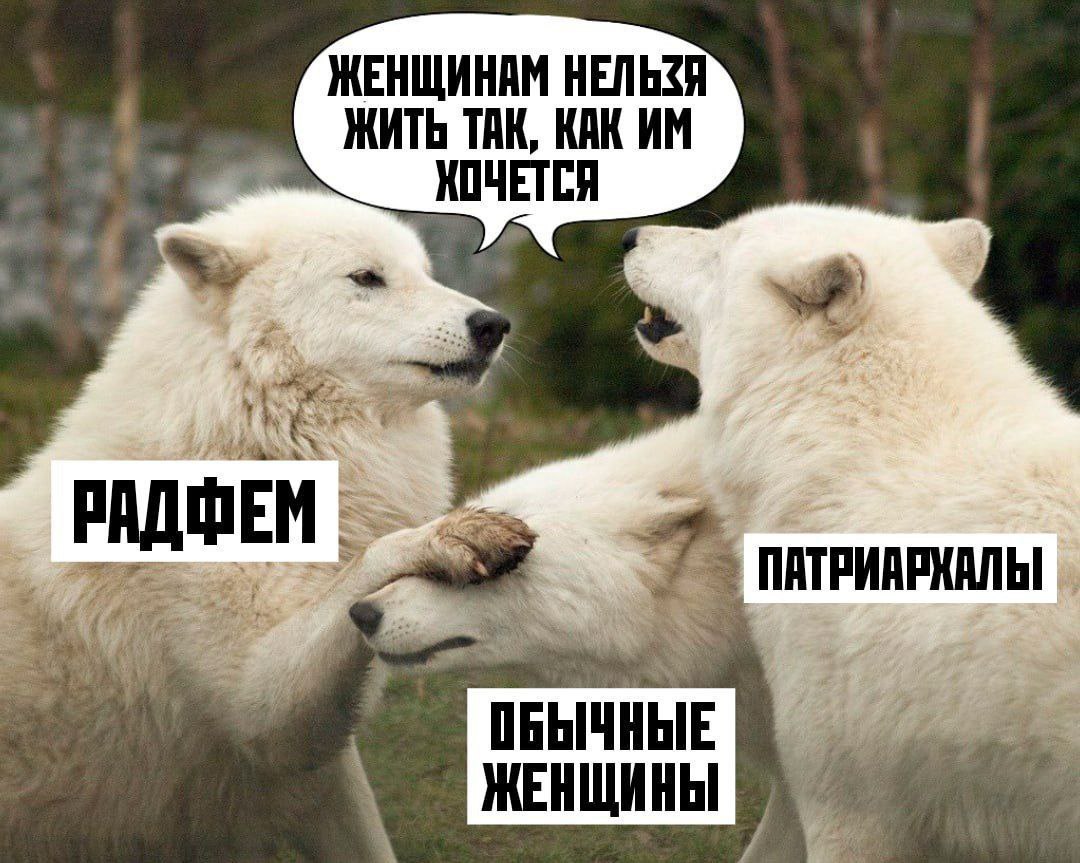 Женщинам нельзя жить так, как им хочется Радикальные феминистки и патриархалы диктуют женщинам, как им жить