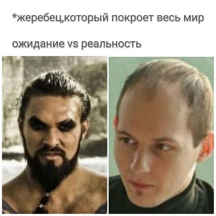 Жеребец, который покроет весь мир: ожидание vs реальность Мем "Жеребец, который покроет весь мир: ожидание vs реальность" с Джейсоном Момоа и человеком с лысиной
