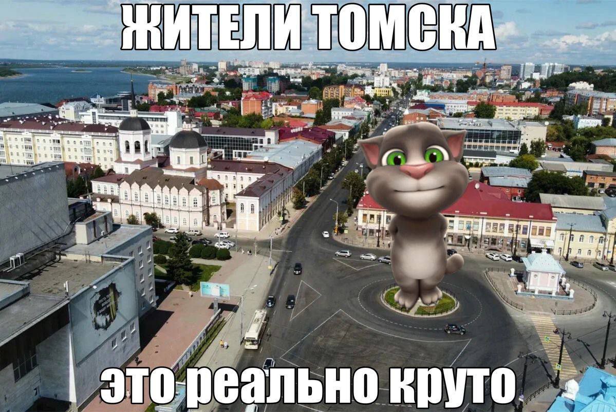 Жители Томска это реально круто Мем с гигантским котом Томом на кольцевой развязке в Томске и надписью «Жители Томска это реально круто»