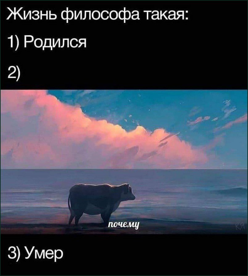 Ироничная схема жизни философа: родился, задумался «почему» и умер