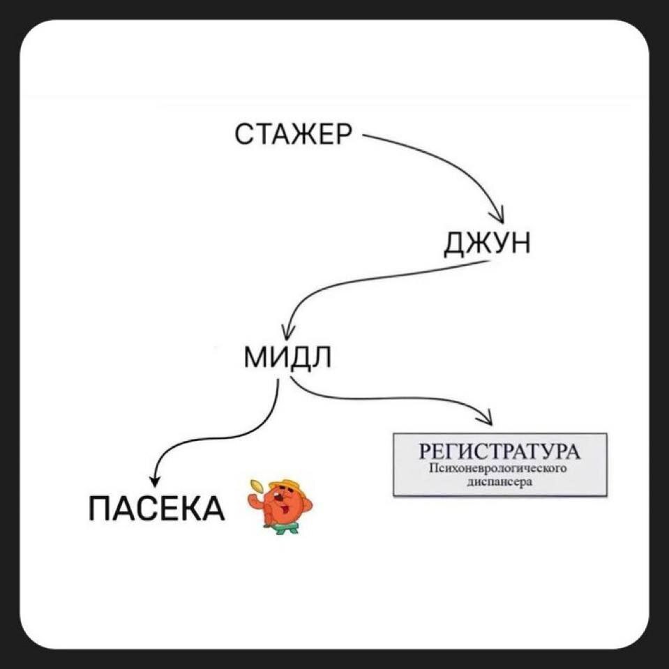 Жизненный цикл программиста Схема карьерного пути программиста от стажера до пчеловода или пациента психдиспансера