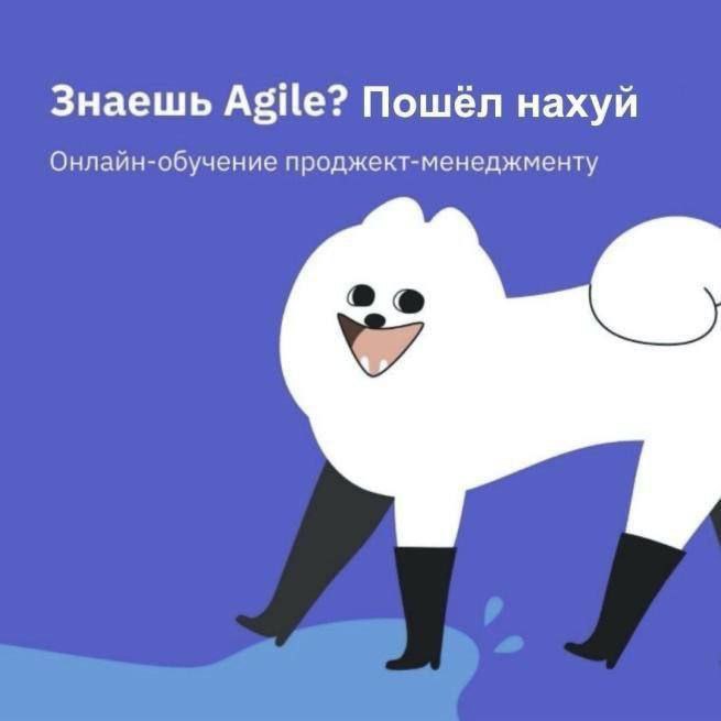 Знаешь Agile? Пошёл нахуй Знаешь Agile? Пошёл нахуй. Онлайн-обучение проджект-менеджменту