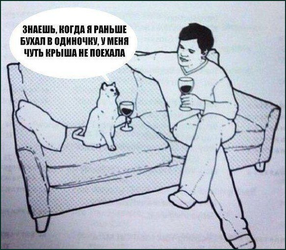 Знаешь, когда я раньше бухал в одиночку, у меня чуть крыша не поехала Мужчина и кот сидят на диване с бокалами вина