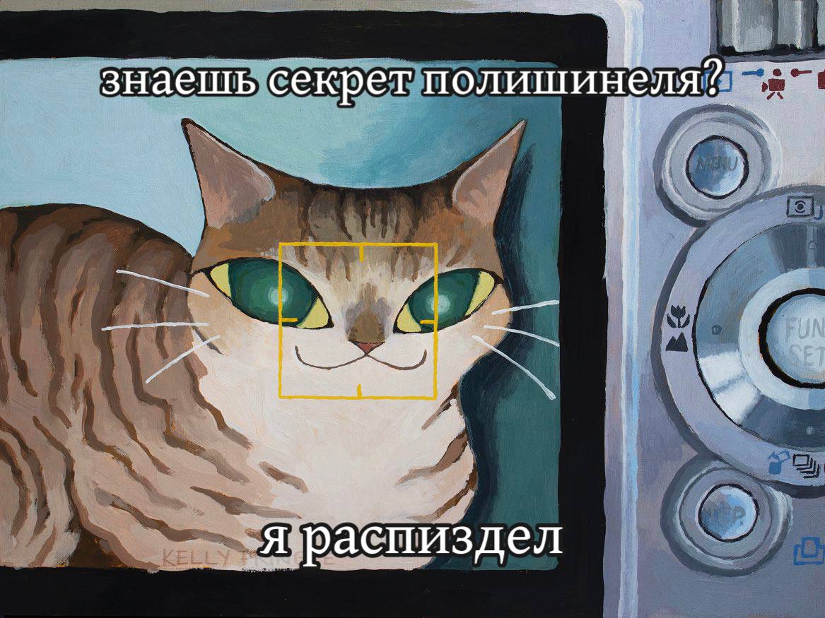 Кот "Я распиздел" Кот и фотоаппарат с текстом «знаешь секрет полишинеля? Я распиздел»