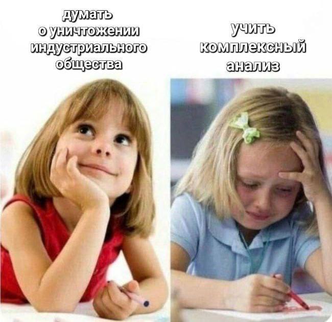 Девочка мечтает об уничтожении индустриального общества, пока другая мучается с изучением комплексного анализа.