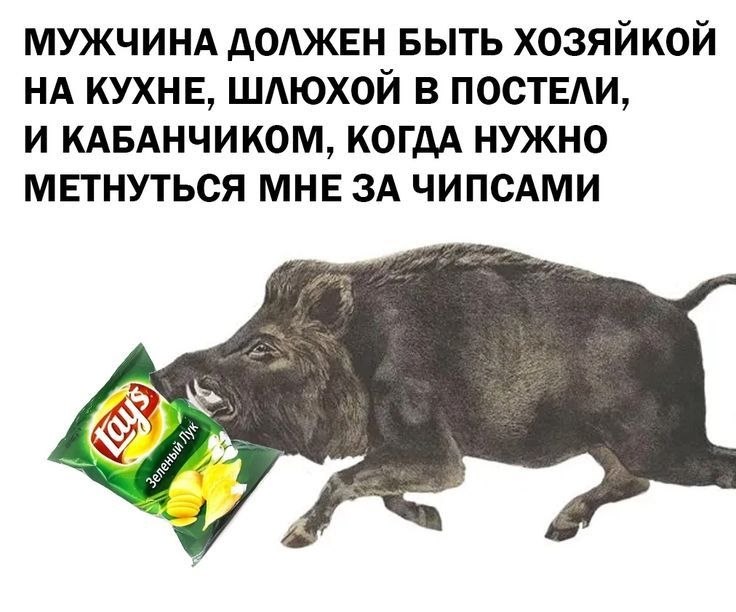 Кабан несётся за чипсами Lay’s после шутливого списка требований к мужчине